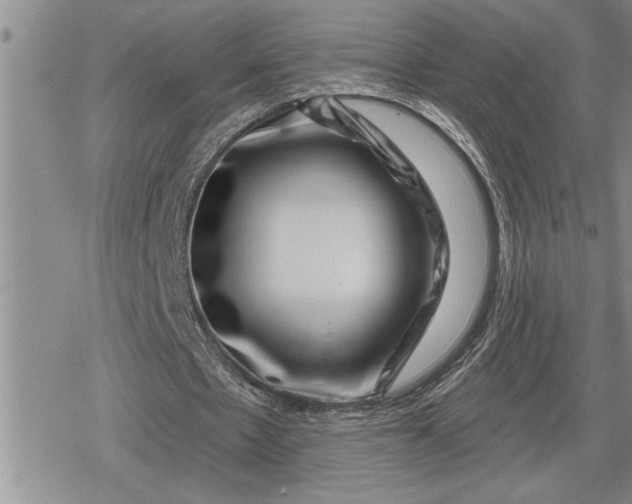 X0000080200481200612221409