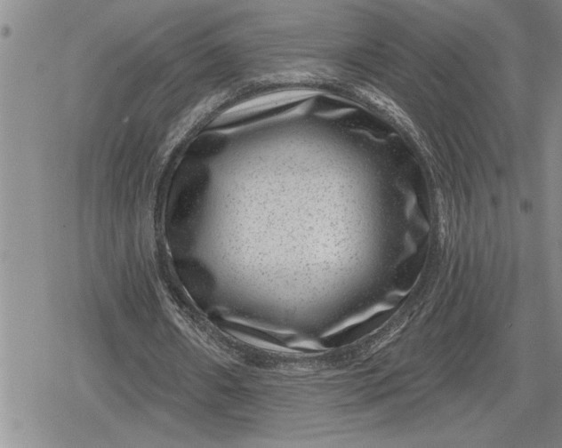 X0000080200482200612221409