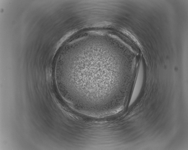 X0000080200483200612221409