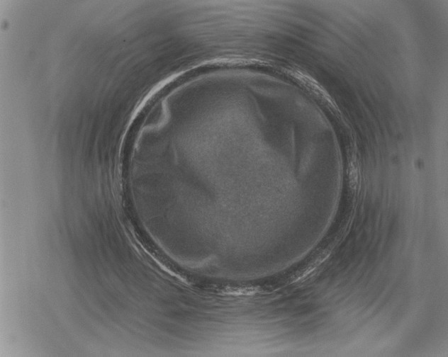 X0000080200484200612221409