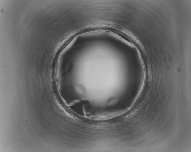 X0000080200485200612221409