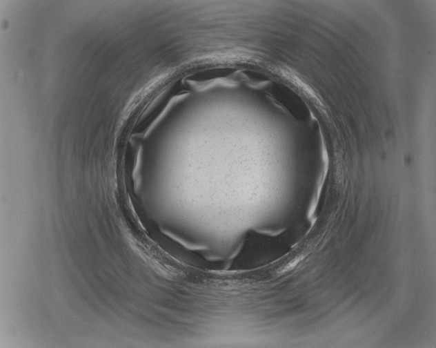 X0000080200486200612221409