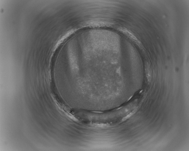 X0000080200488200612221409