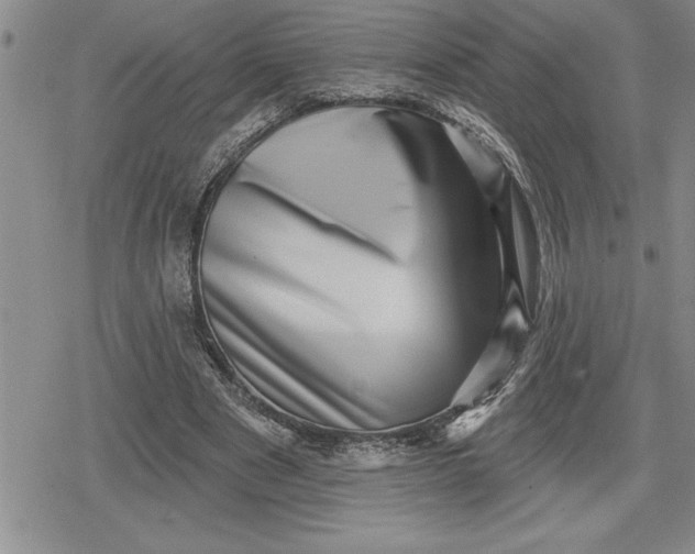 X0000080200489200612221409