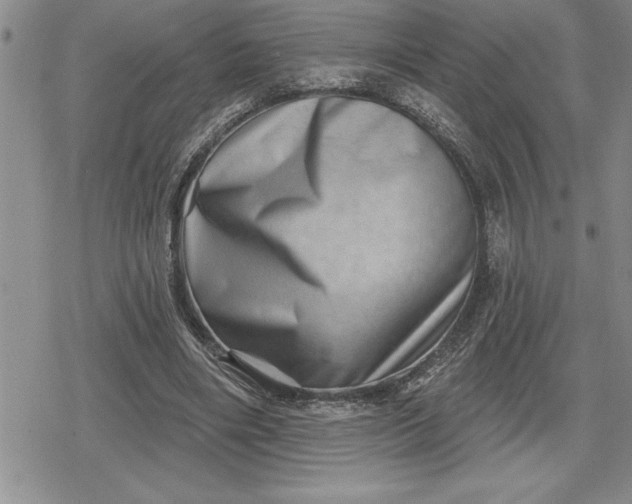 X0000080200490200612221409