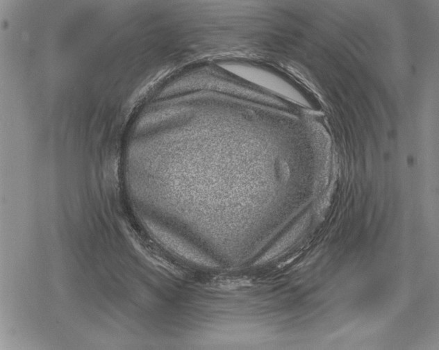 X0000080200491200612221409