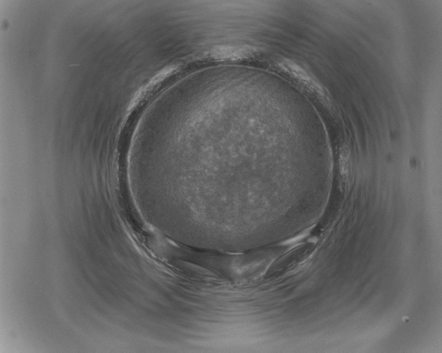 X0000080200492200612221409