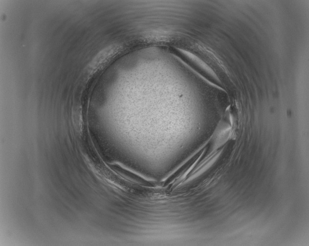 X0000080200494200612221409