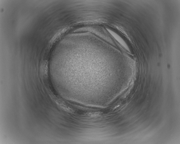 X0000080200495200612221409