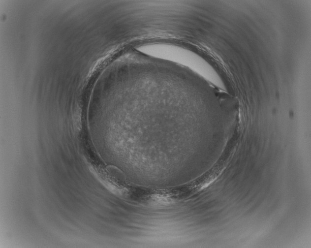 X0000080200496200612221409