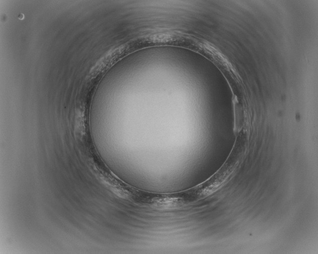 X0000080200497200612221409