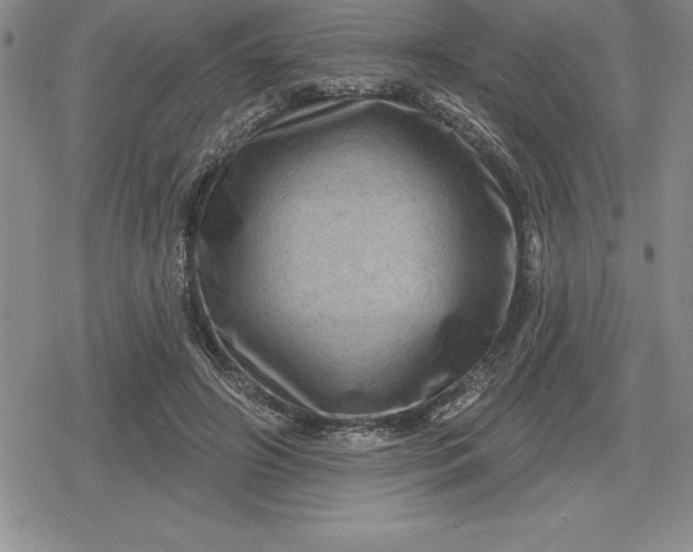 X0000080200498200612221409