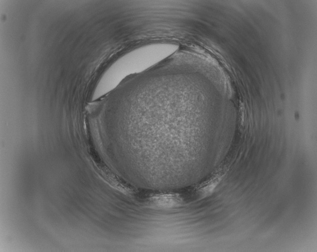 X0000080200499200612221409