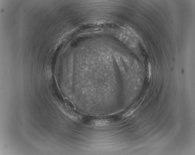 X0000080200500200612221409