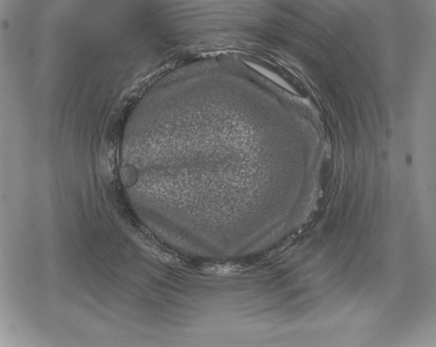 X0000080200503200612221409