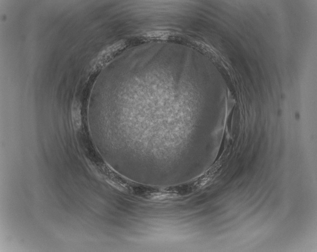 X0000080200504200612221409