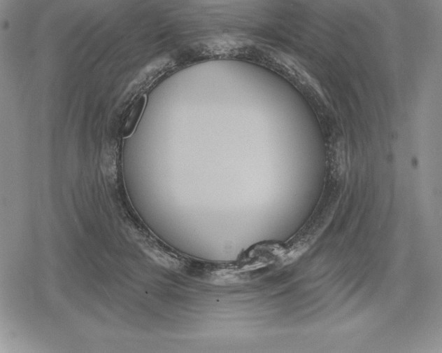 X0000080200505200612221409