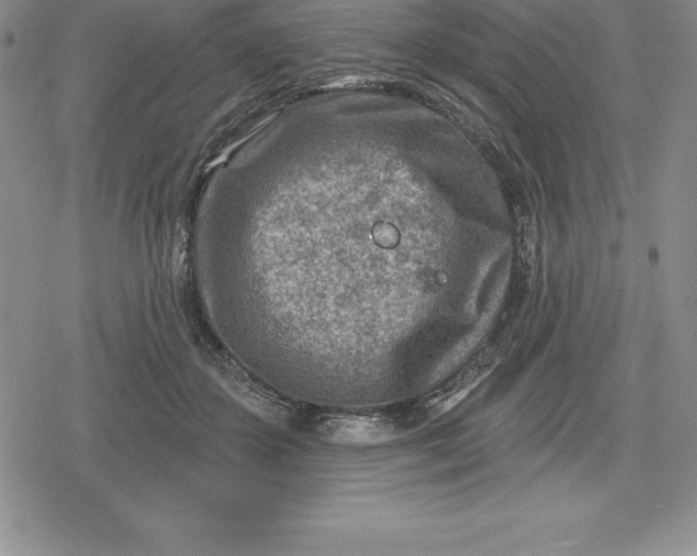 X0000080200507200612221409