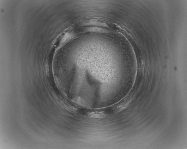 X0000080200508200612221409