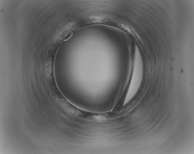 X0000080200509200612221409