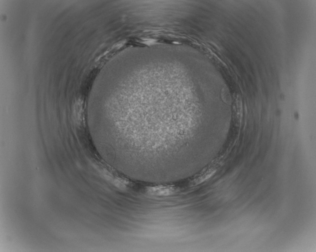 X0000080200511200612221409