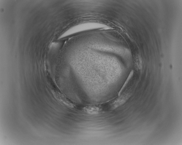 X0000080200512200612221409