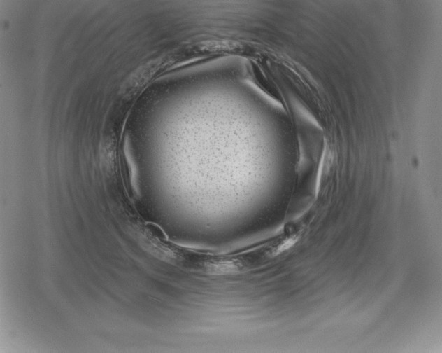 X0000080200513200612221409