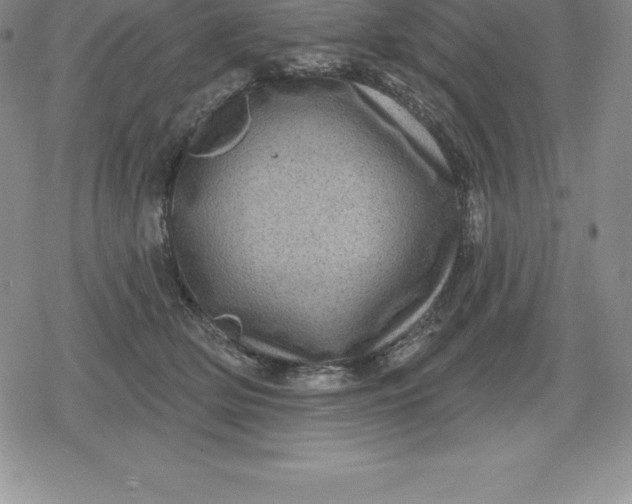 X0000080200514200612221409