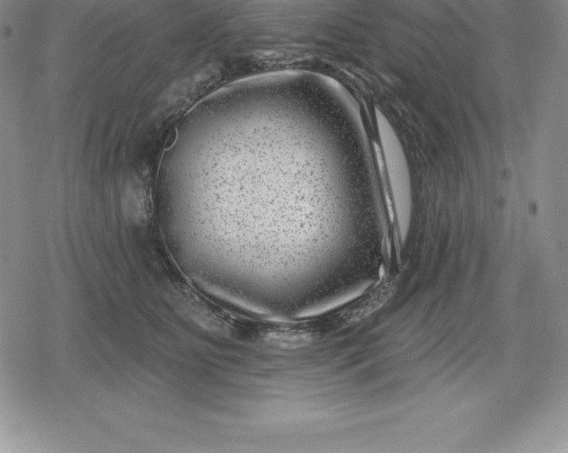 X0000080200515200612221409