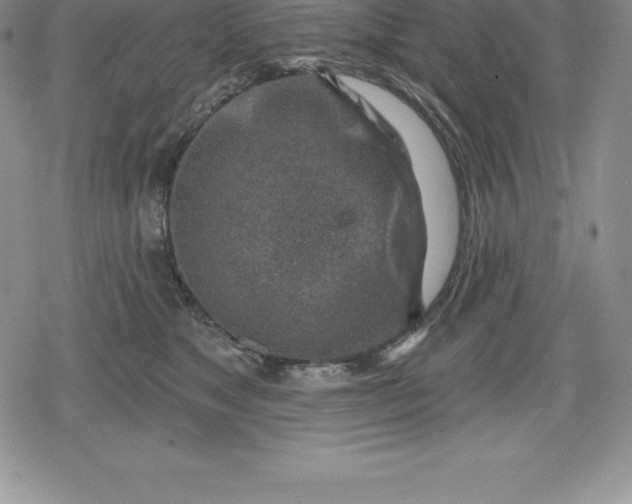 X0000080200517200612221409