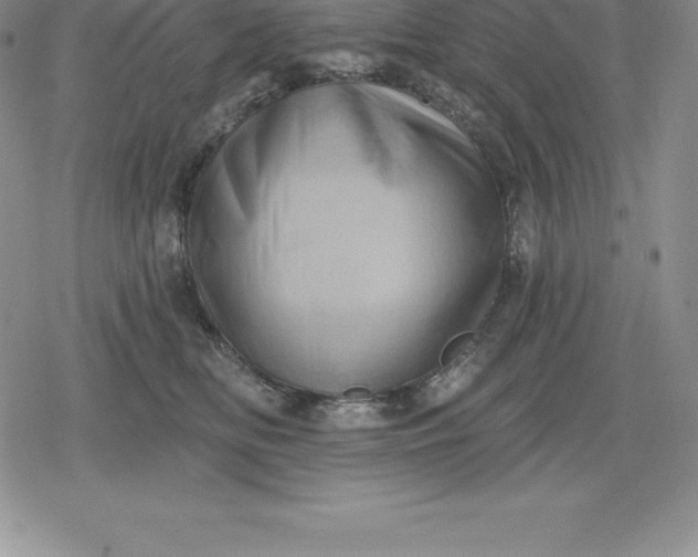 X0000080200518200612221409