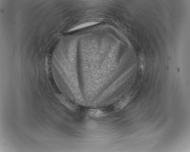 X0000080200519200612221409