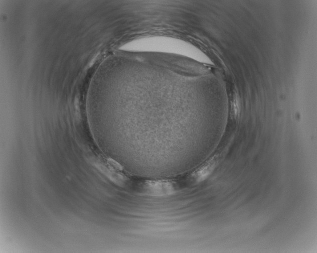 X0000080200520200612221409