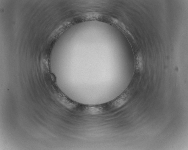 X0000080200522200612221409