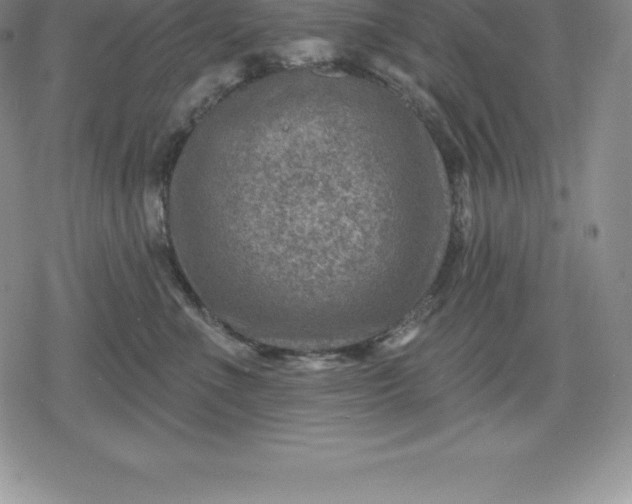 X0000080200523200612221409