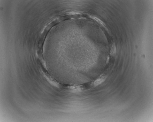 X0000080200524200612221408