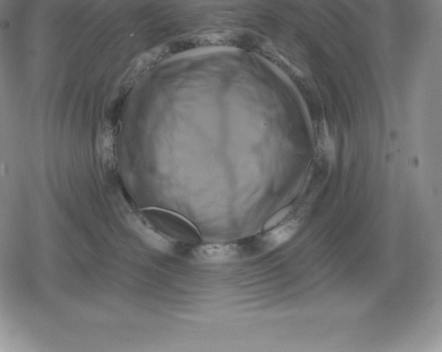 X0000080200526200612221408