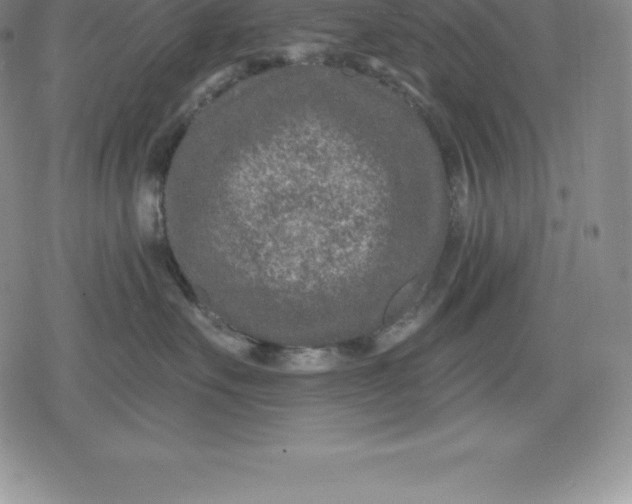 X0000080200527200612221408