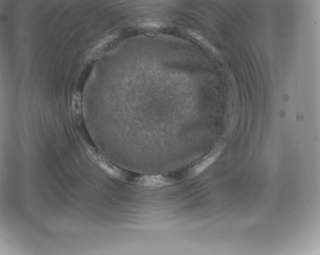 X0000080200528200612221408