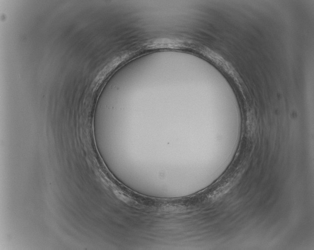 X0000080200529200612221408