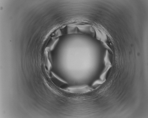 X0000080200530200612221408