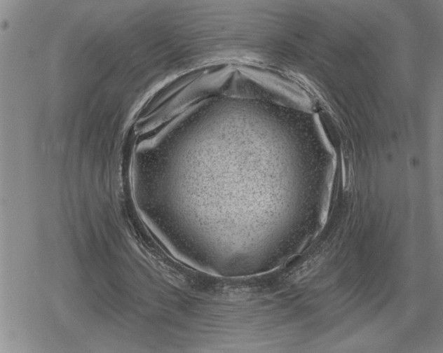 X0000080200531200612221408