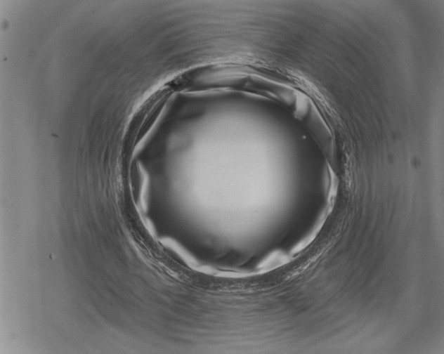 X0000080200532200612221408