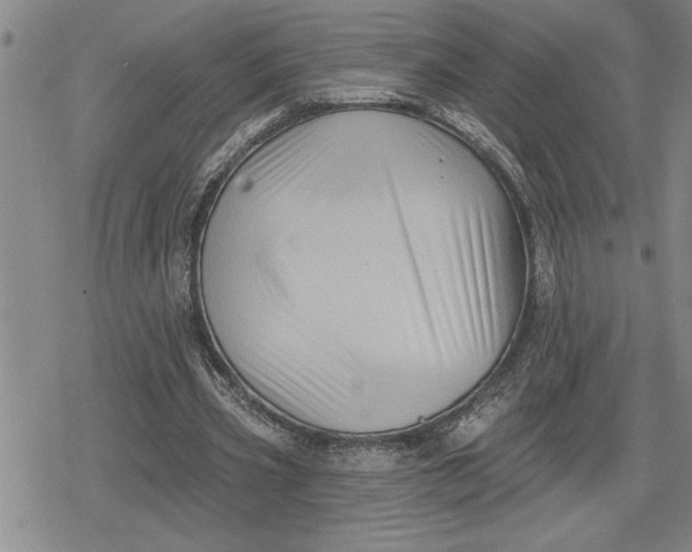 X0000080200533200612221408