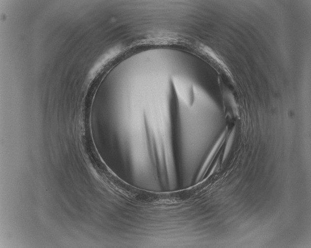 X0000080200536200612221408