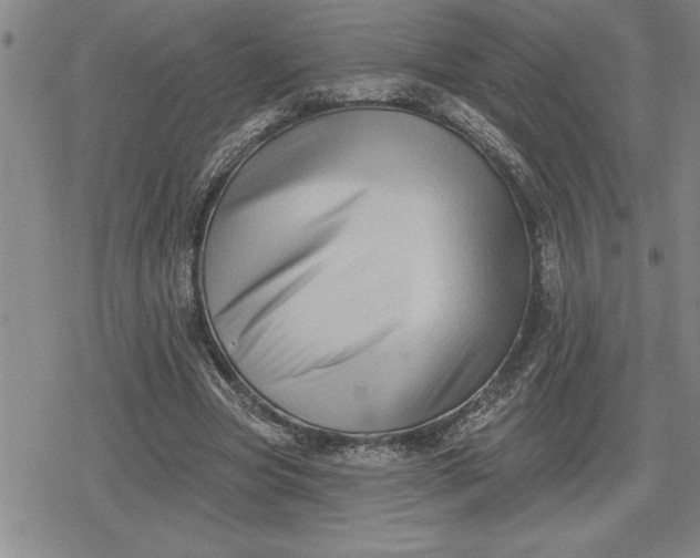 X0000080200537200612221408