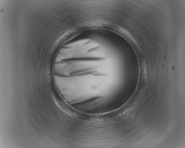 X0000080200538200612221408