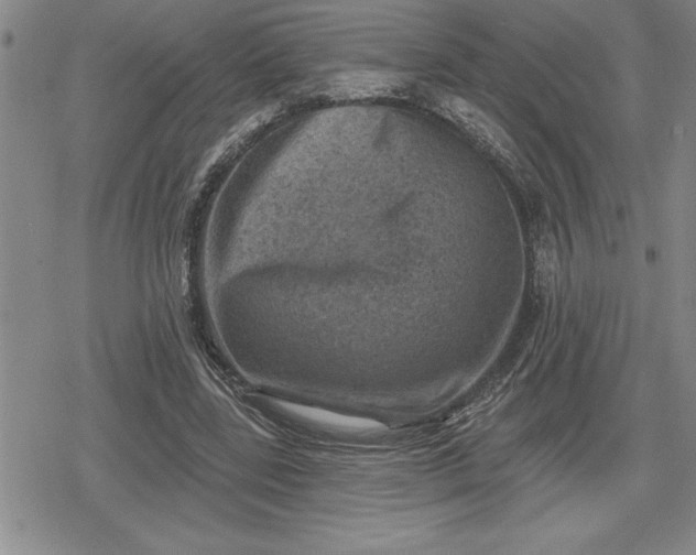 X0000080200539200612221408