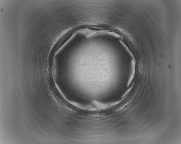 X0000080200540200612221408