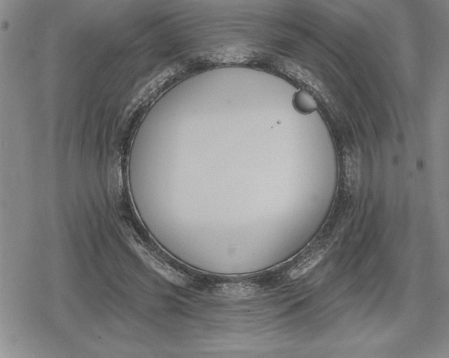 X0000080200541200612221408